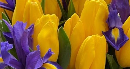 зображення Viber 2026 03 08 08 28 20 627